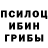 Псилоцибиновые грибы GOLDEN TEACHER Hanna Meawad