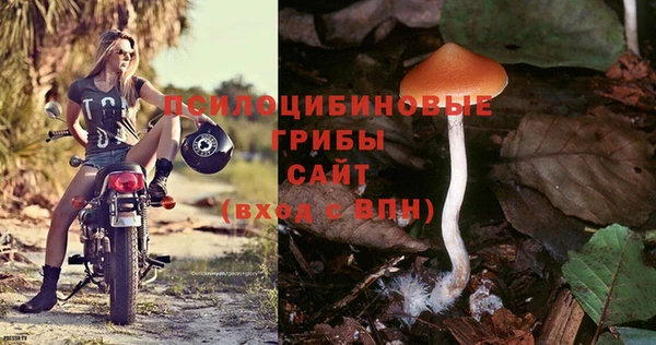 соль ск Балабаново