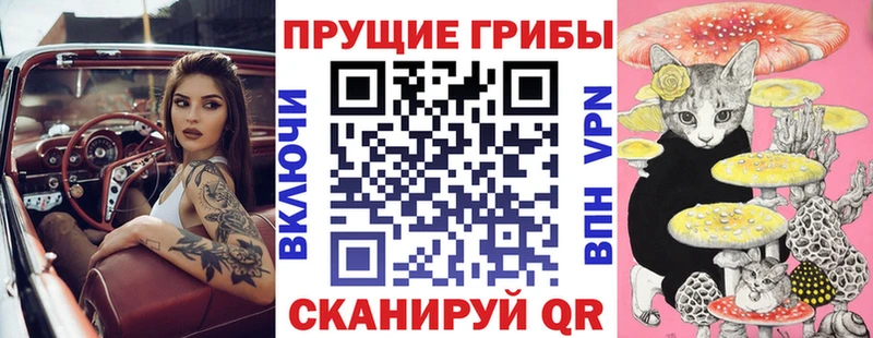 Галлюциногенные грибы Psilocybe  наркотики  Троицк 
